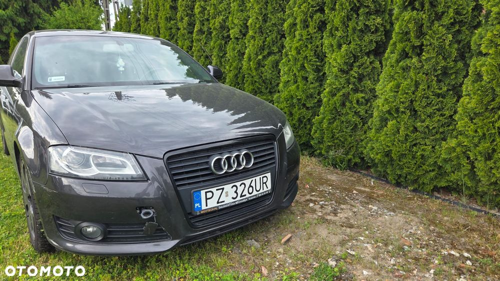 Audi A3 3-drzwiowe 2.0 TDI DPF Attraction - 20