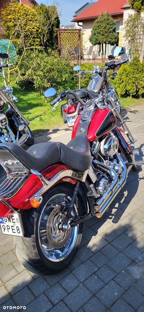 Harley-Davidson Softail Custom - 5