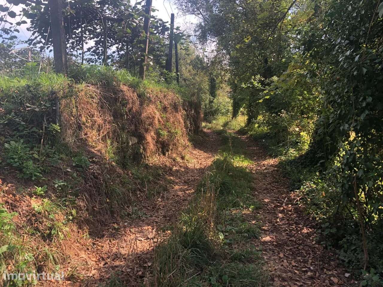 Terreno lugar Cortinha - Pigeiros, Santa Maria da Feira - Grande imagem: 5/8