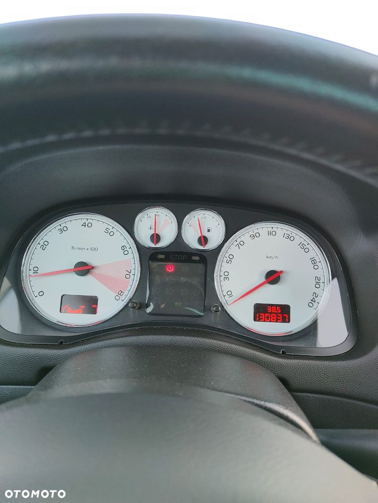 Peugeot 307 - 17