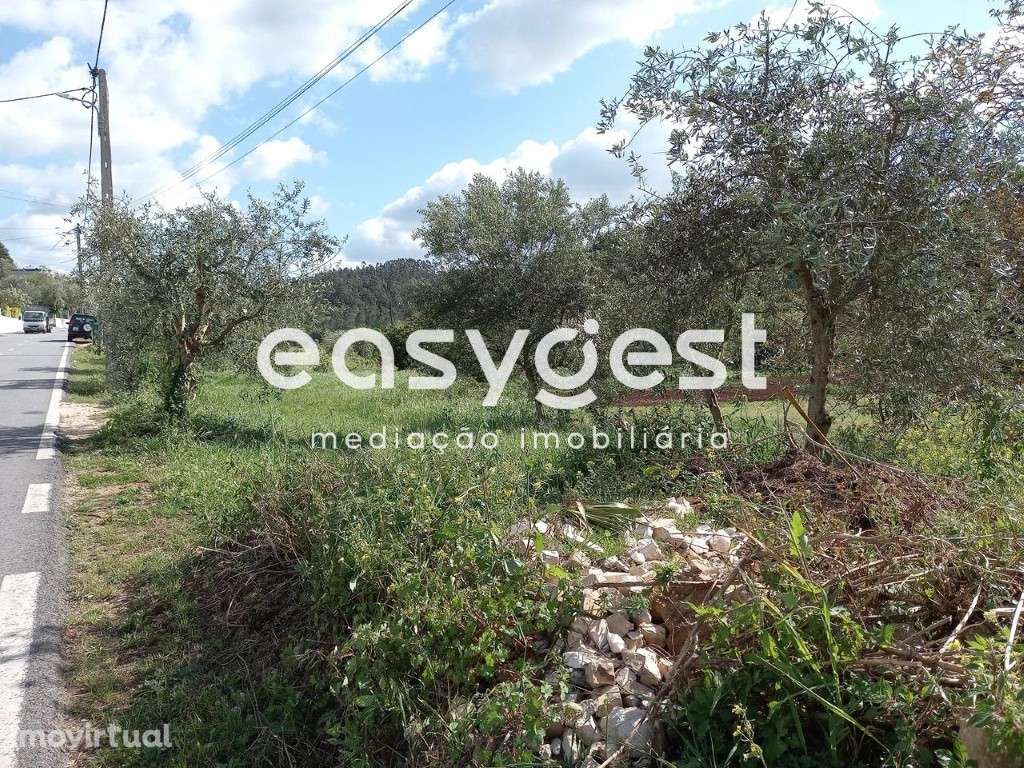 Terreno Rústico - Urbanizável - Abrunheira - Assafarge - Coimbra - Grande imagem: 3/14