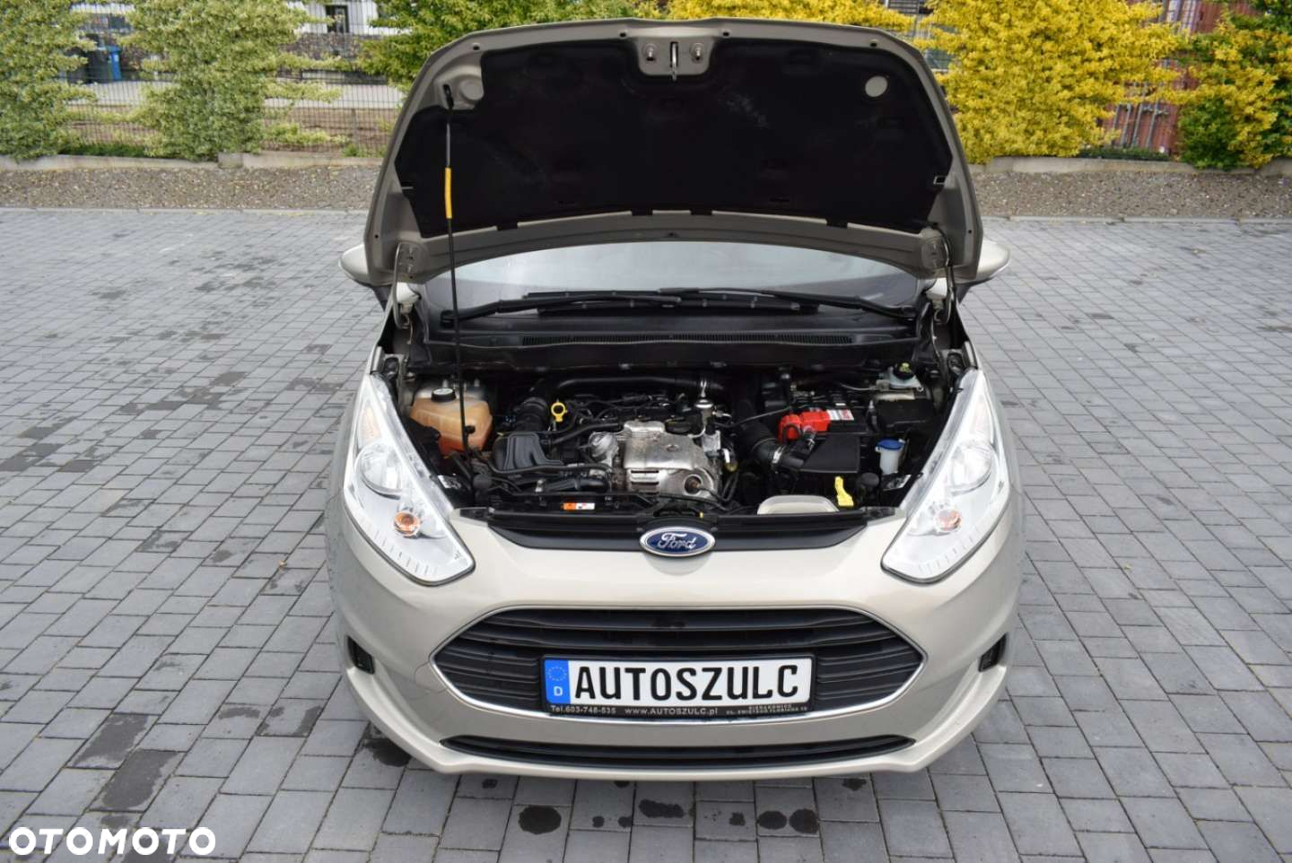 Ford B-MAX - 13