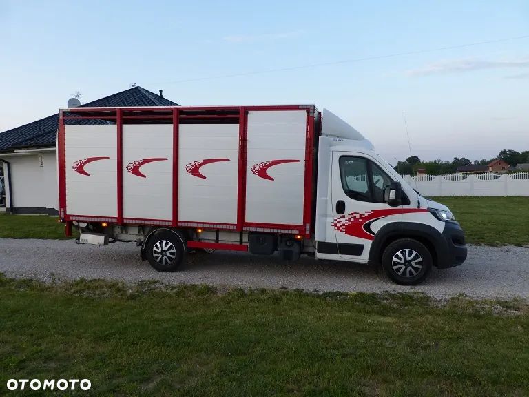 Peugeot BOXER DO ŻYWCA / ZWIERZĄT / BYDŁA / TRZODY CHLEWNEJ / EURO 6 / KAT. B / STAN PERFECT - 6