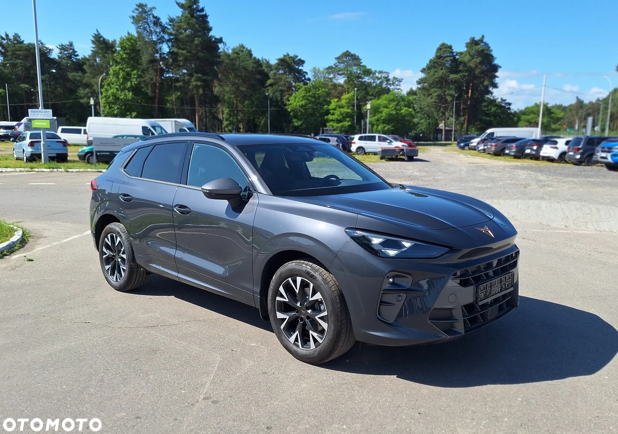 Cupra Terramar 1.5 eTSI DSG - 2