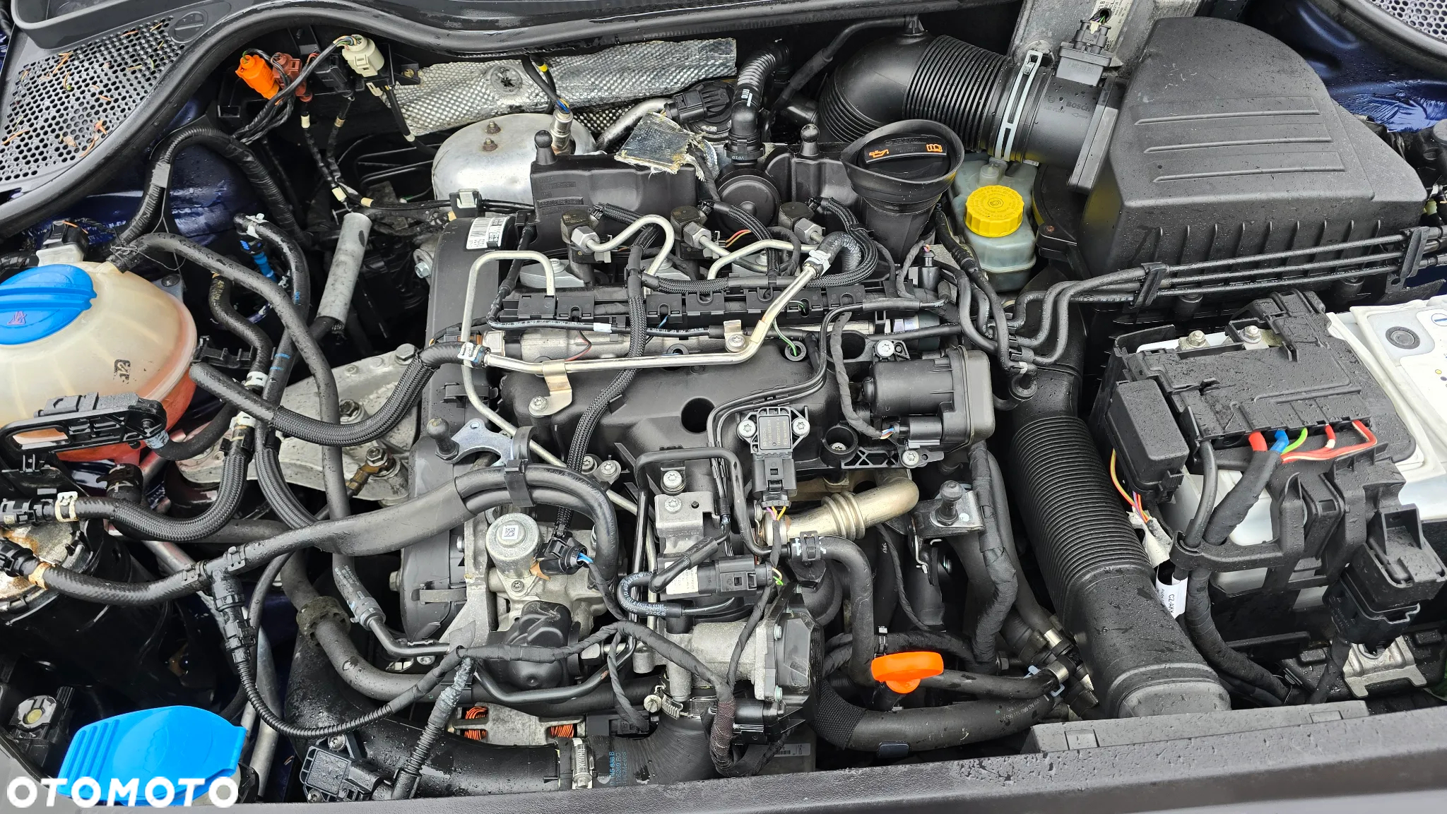 Volkswagen Polo 1.2 TDI Blue Motion - 22