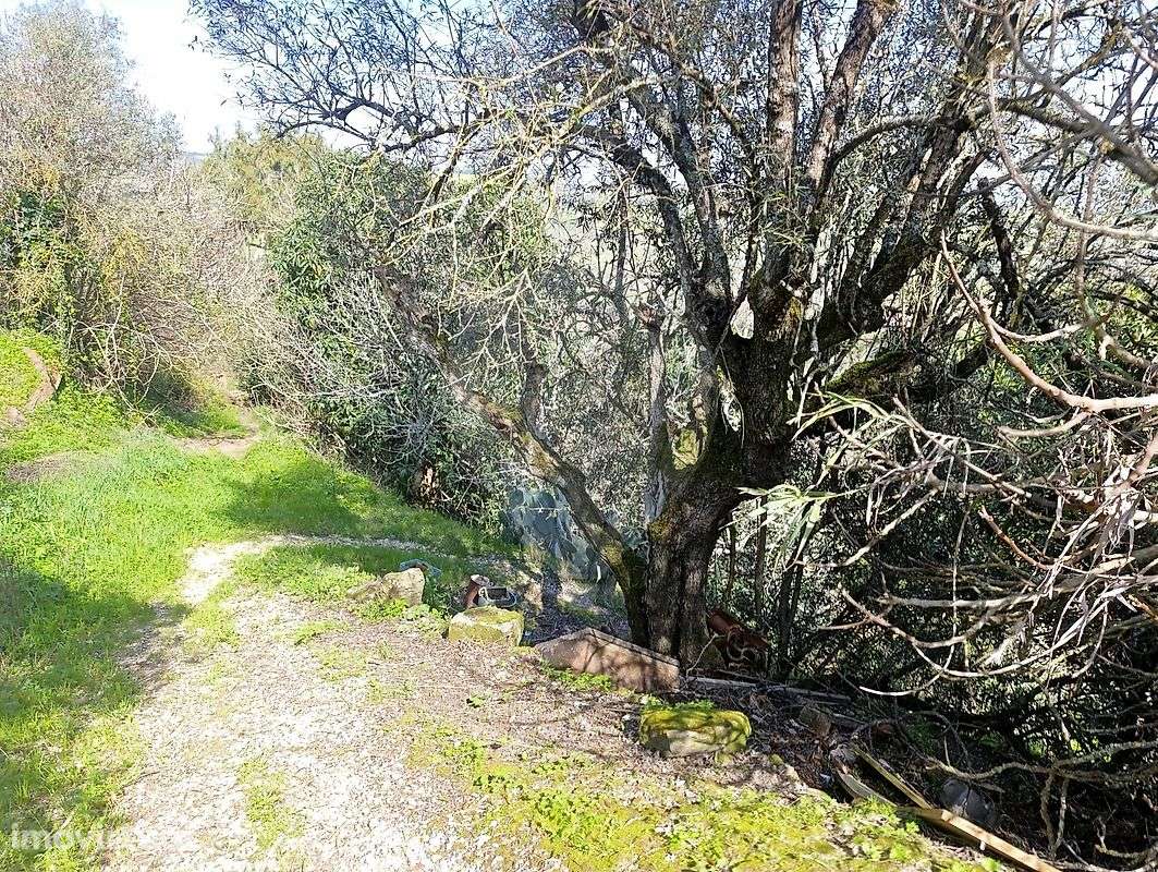 Terreno  para venda - Grande imagem: 2/5