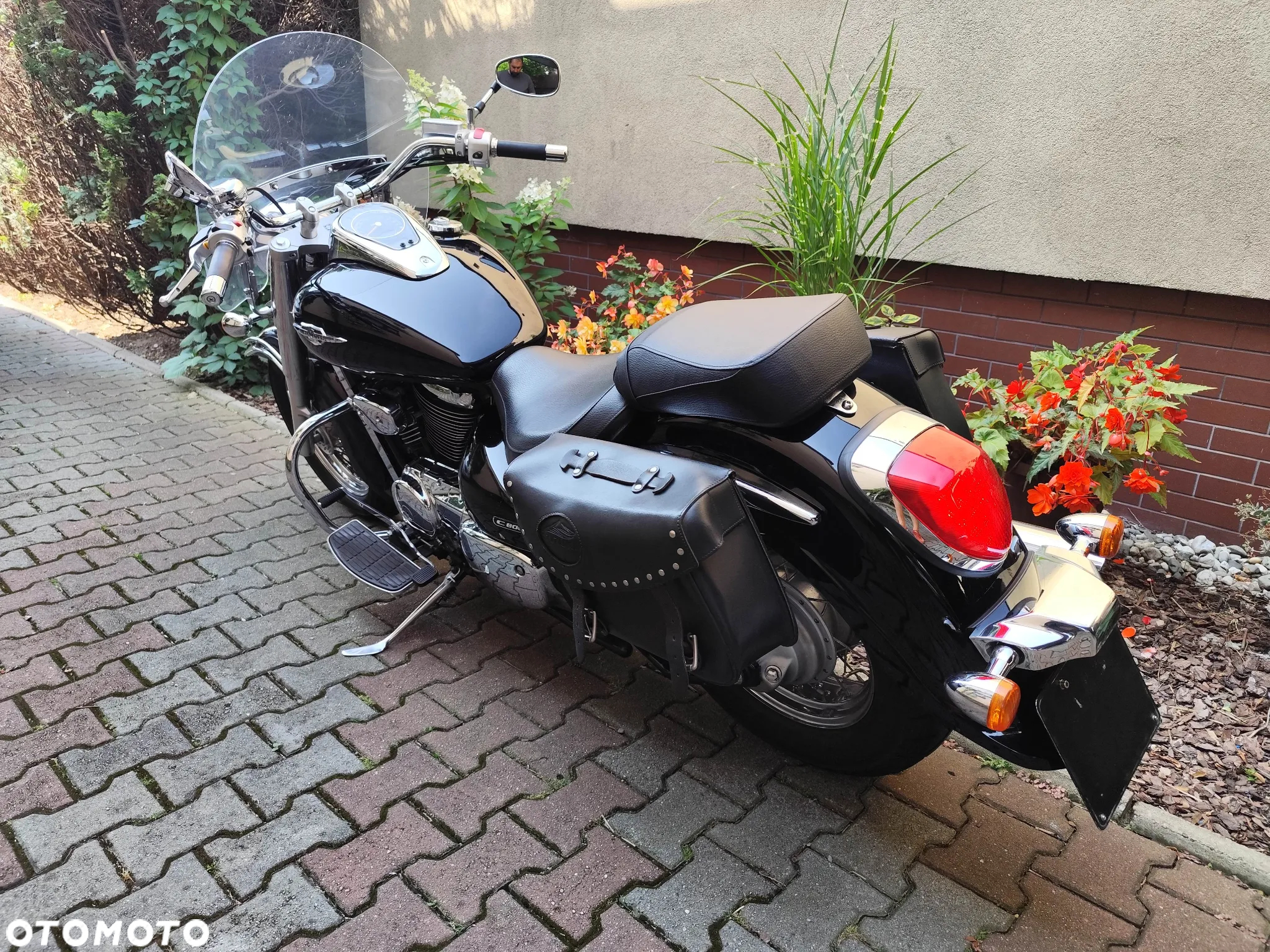 Suzuki Intruder - 16