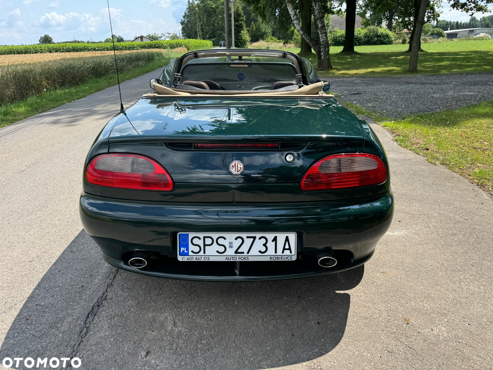 MG MGF - 8