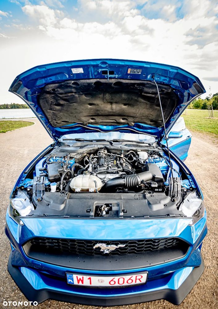 Ford Mustang - 14