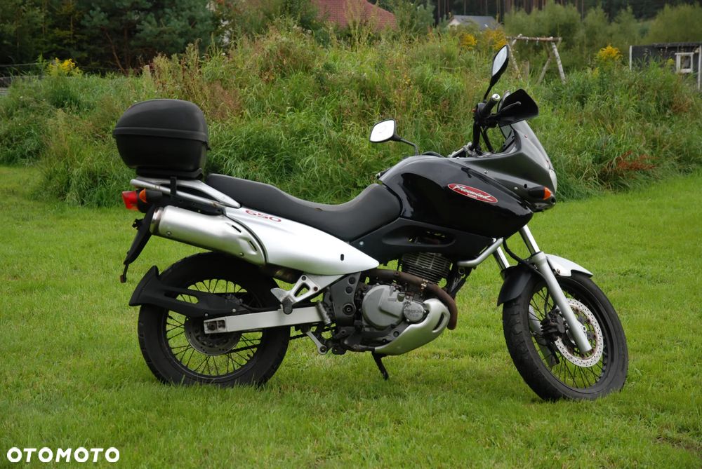 Suzuki XF - 7
