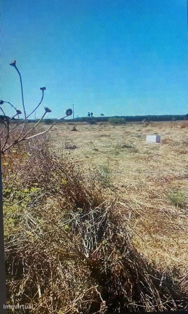 Terreno Rústico no Ludo, Almancil – 8.400 m² Próximo da Quinta do Lago - Grande imagem: 4/7