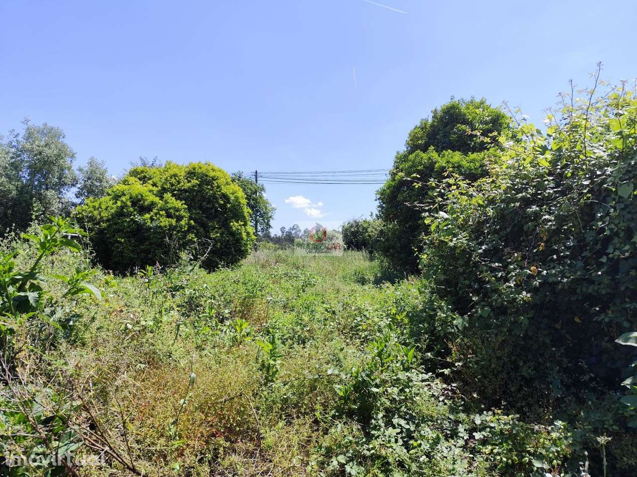 Moradia T6   na Forcada em Aguada Cima - Grande imagem: 3/31