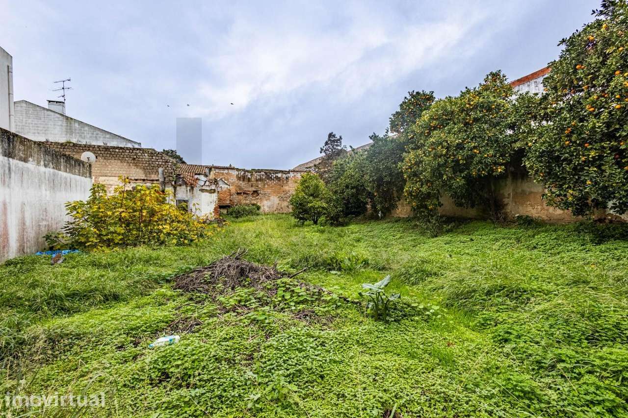 Cartaxo - Terreno Urbano para construção de Edifício de habitação - Ex - Grande imagem: 2/53