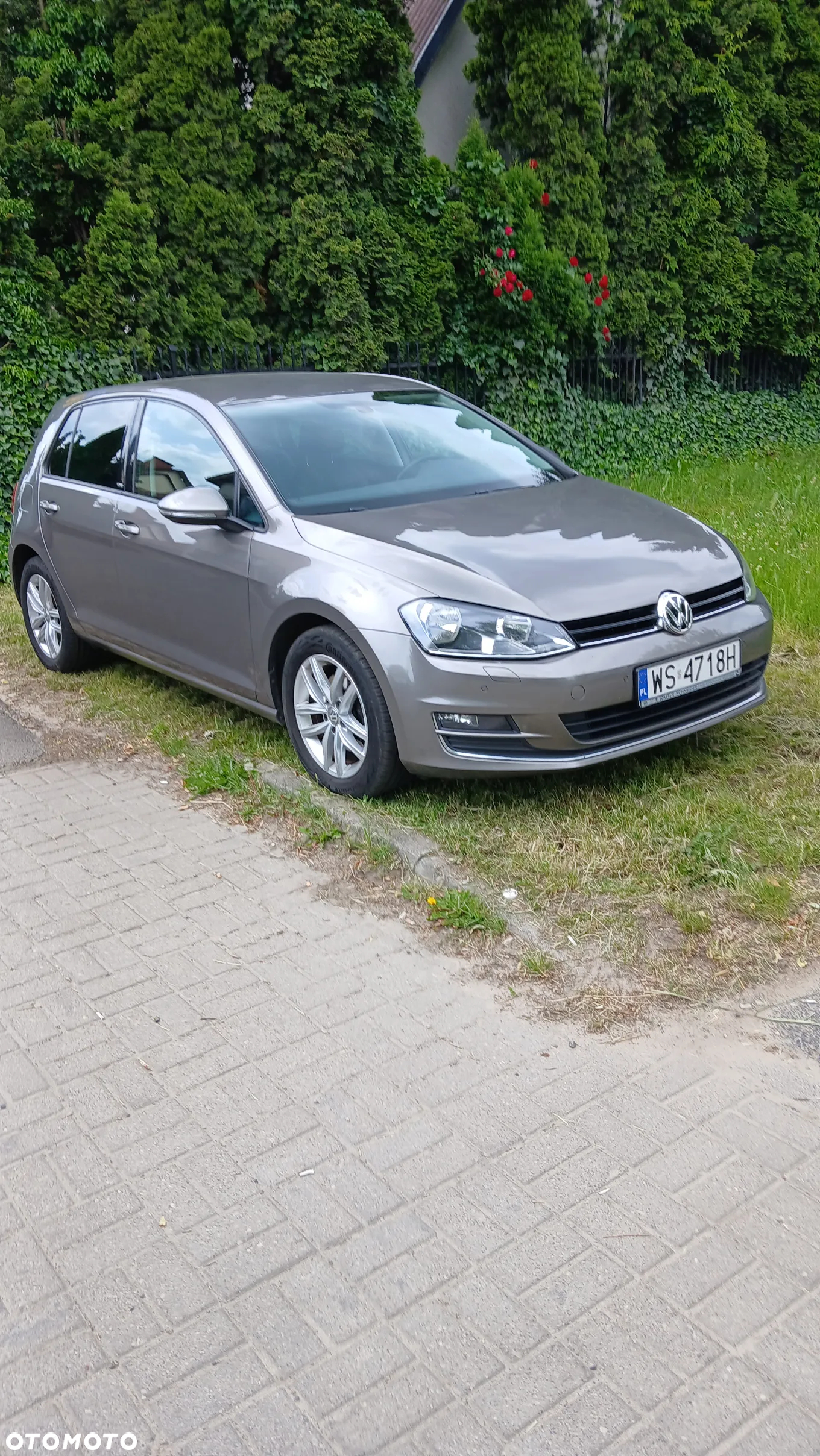 Volkswagen Golf 1.4 TSI BlueMotion Technology Allstar - 5