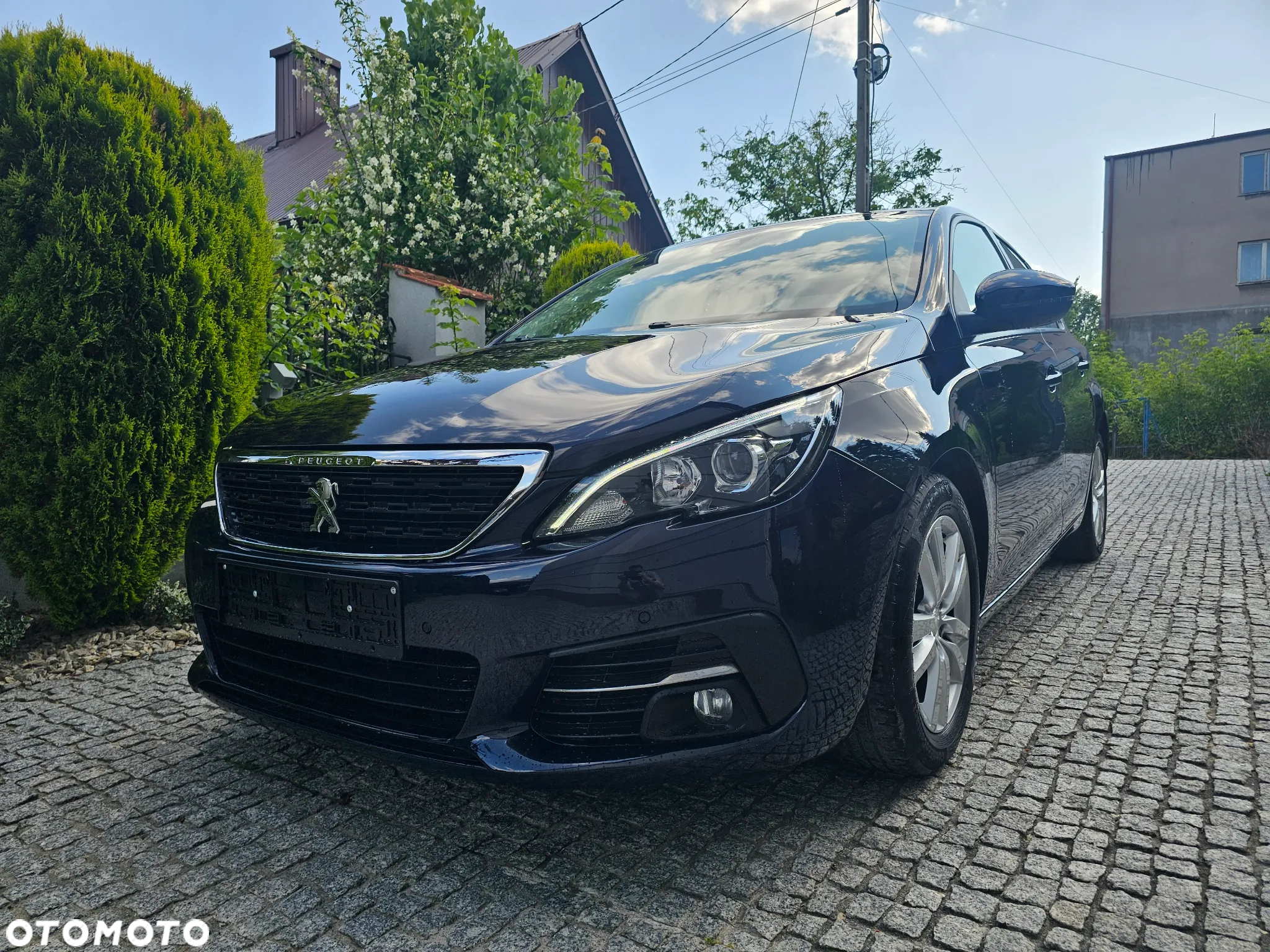 Peugeot 308 1.5 BlueHDi Allure S&S EAT8 - 2
