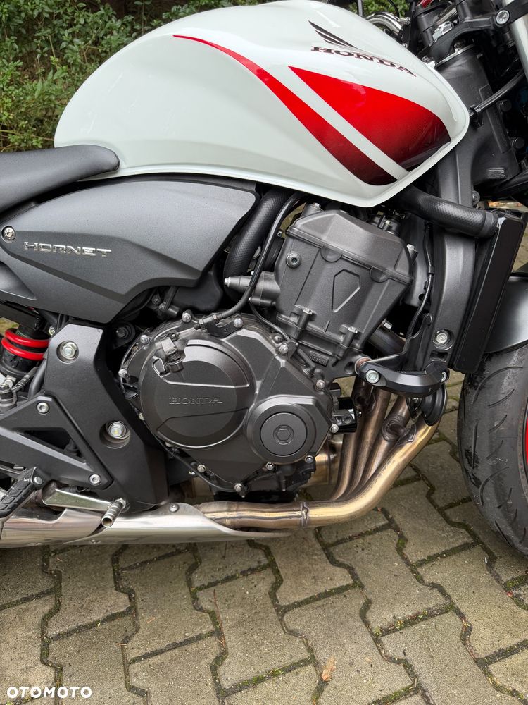 Honda Hornet - 8
