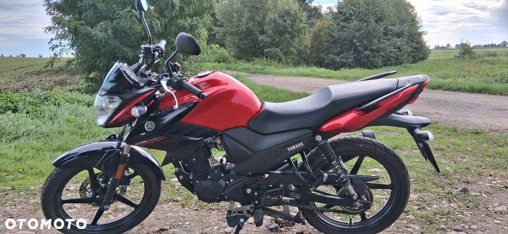 Yamaha YS