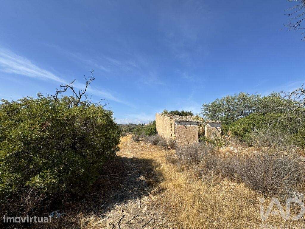 Terreno T3 em Santa Bárbara de Nexe de 214,00 m2 - Grande imagem: 2/17