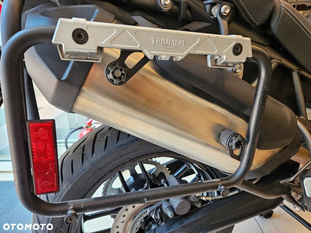 Triumph Tiger - 24