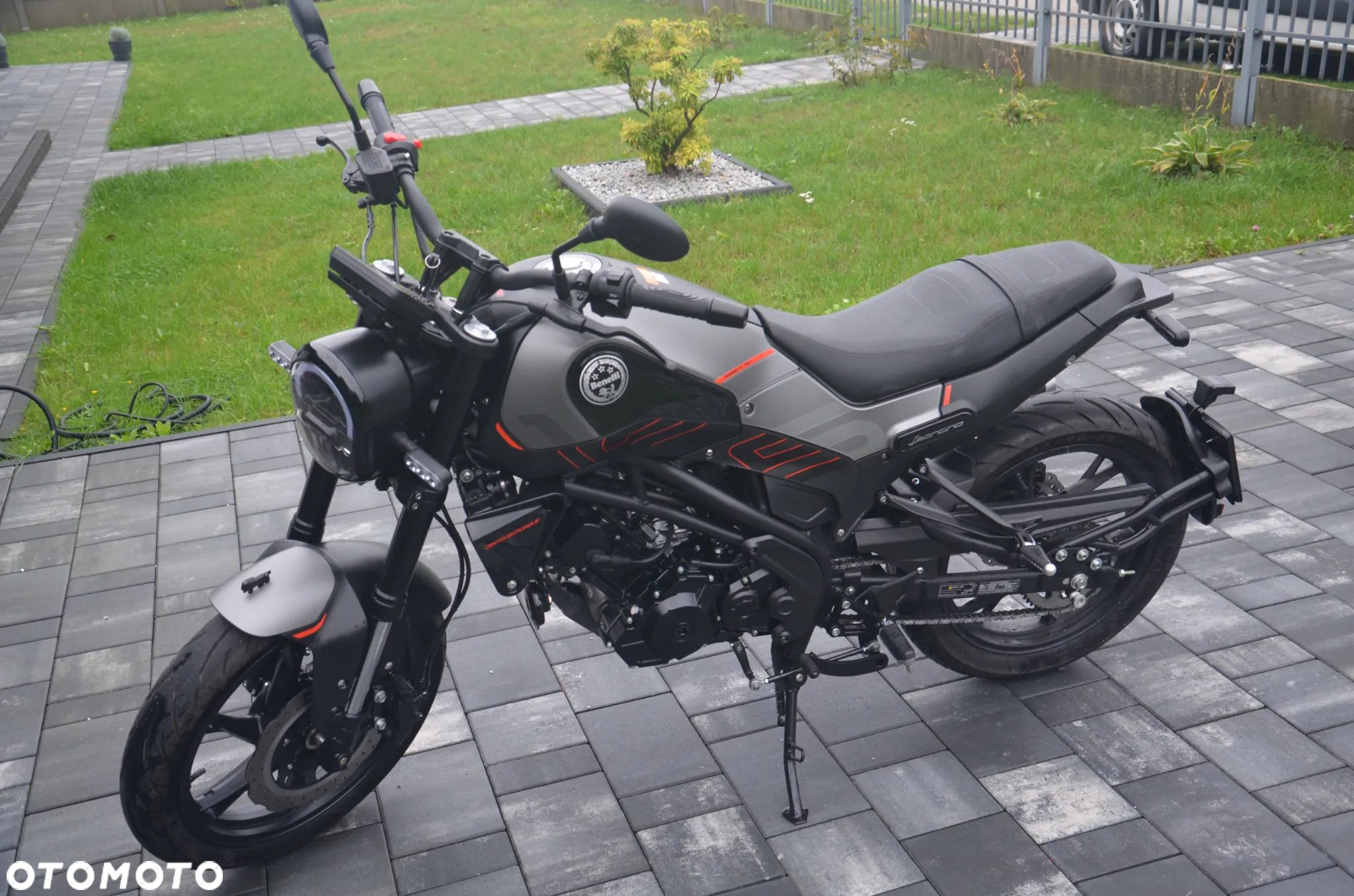 Benelli Leoncino - 1