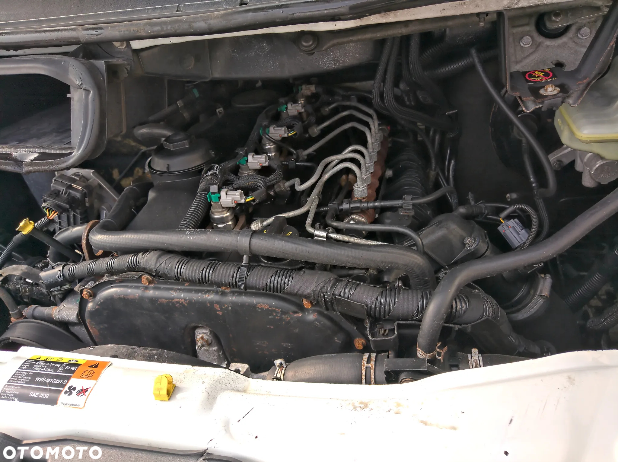 Ford Transit - 5