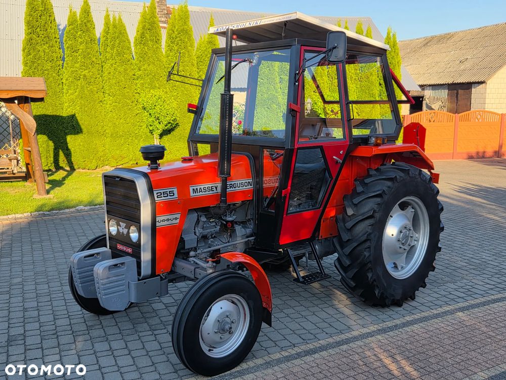 Massey Ferguson 255 / ORYGINAŁ / UNIKAT / NISKI PRZEBIEG / 3512 / 2812 / 235 / C330 - 1