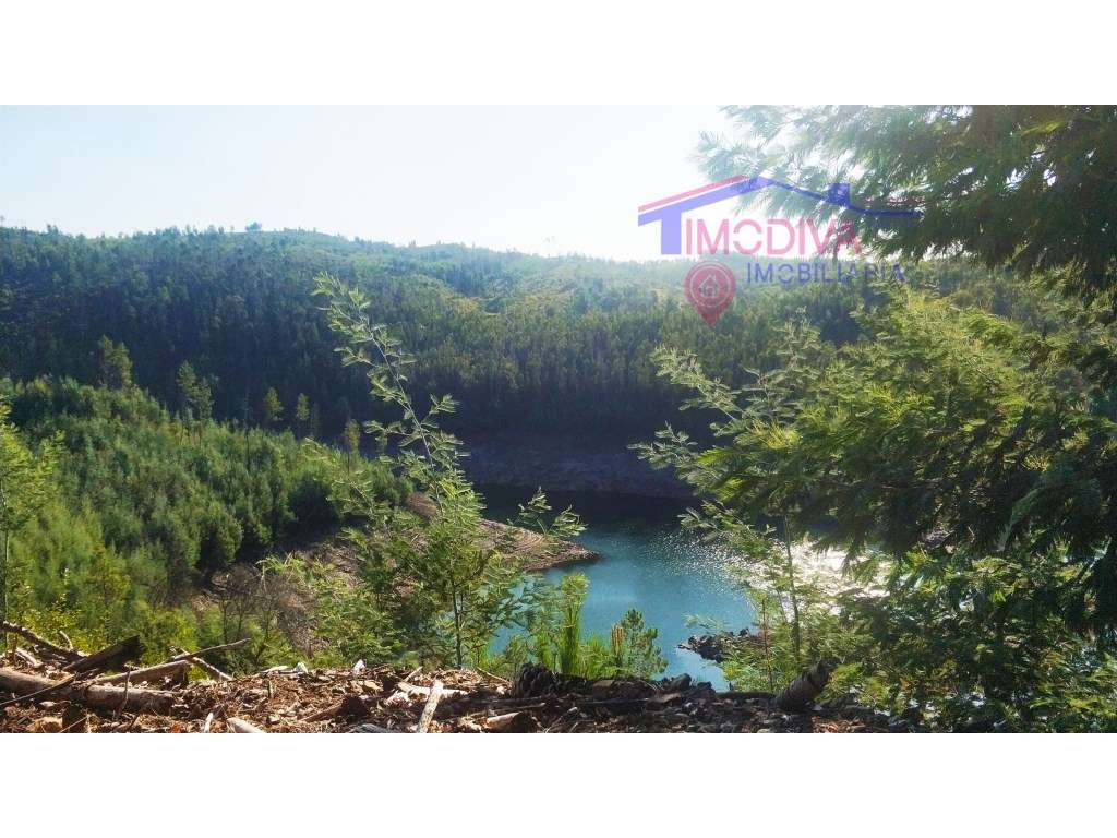 Terreno Florestal com 29000m2 - Alvares - Grande imagem: 3/6