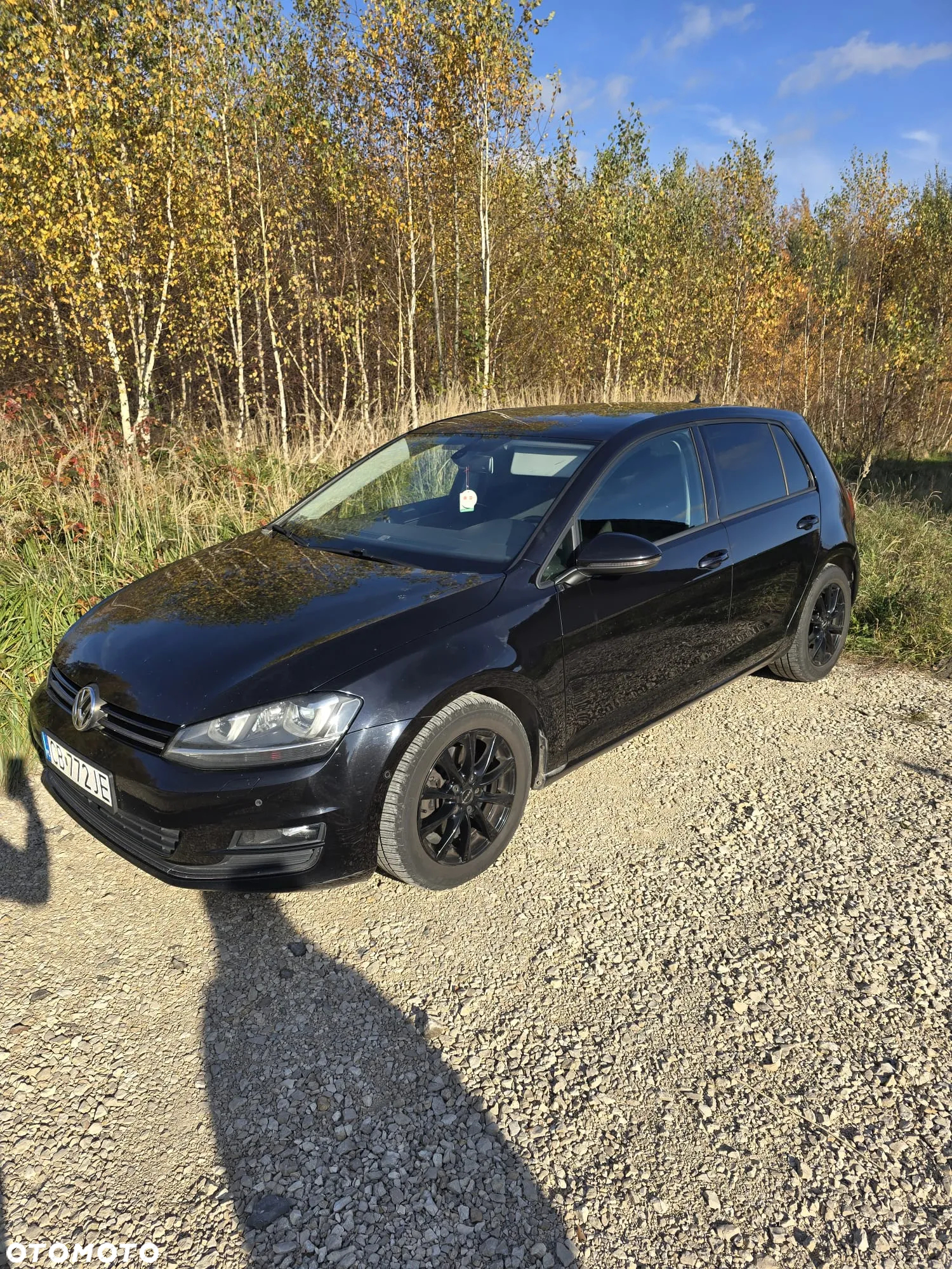 Volkswagen Golf VII 2.0 TDI BMT Highline DSG - 6