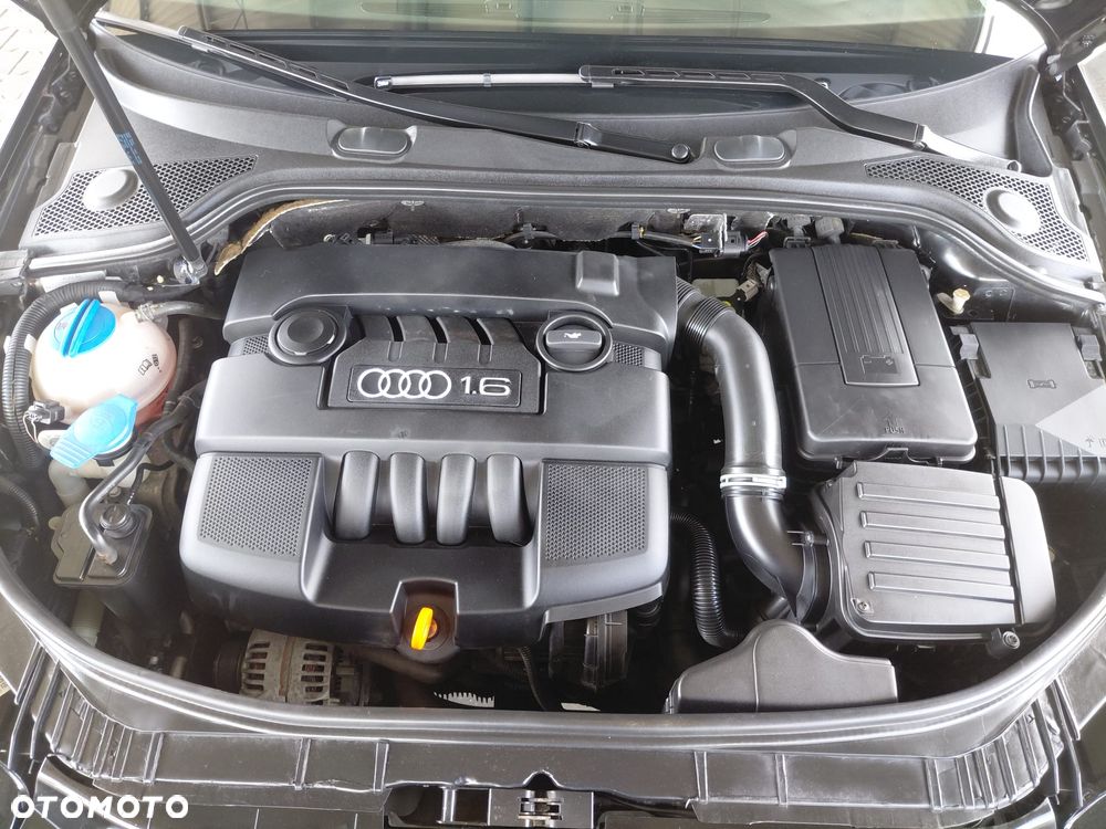 Audi A3 Sportback 1.6 Ambiente - 22
