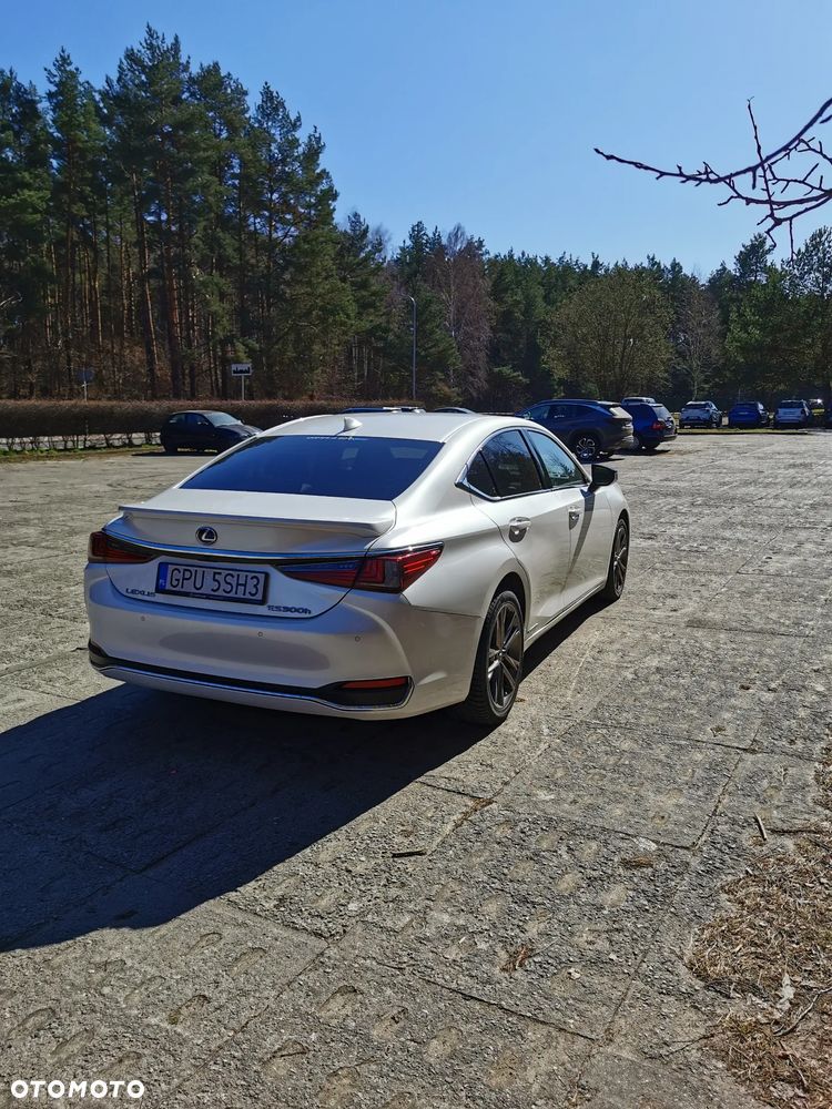 Lexus ES 300h Business Edition - 6