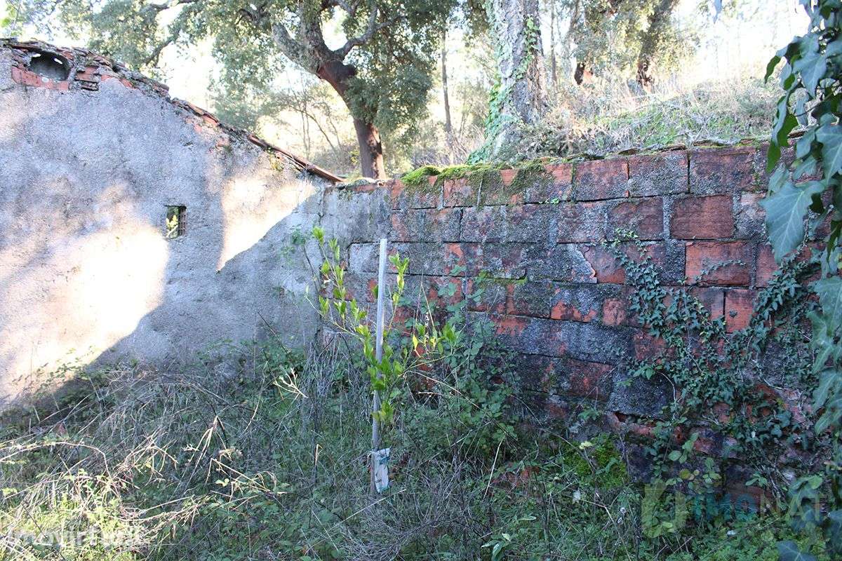 Imóvel Rural - Grande imagem: 4/32