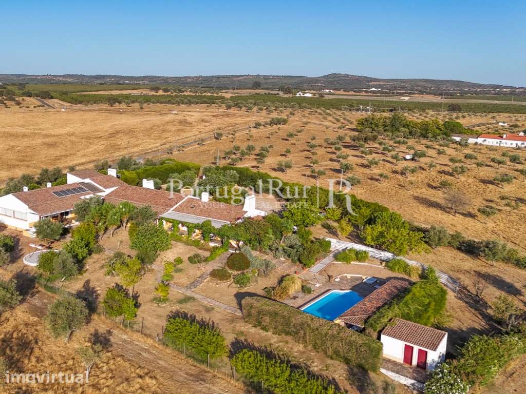 Monte de 4,8 hectares com Moradia T11 para Turismo Rural - Grande imagem: 5/56