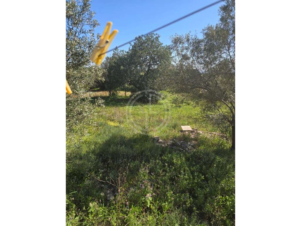 Terreno Urbano em Santa Bárbara de Nexe, Faro com vista mar - Grande imagem: 4/16