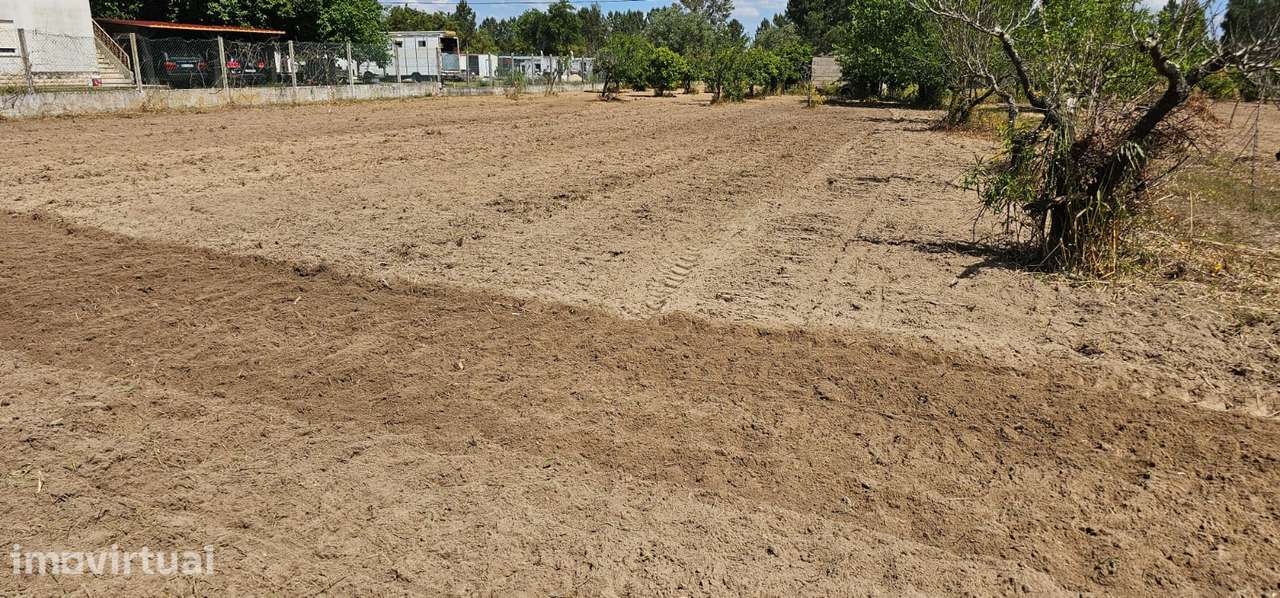 Coruche - Terreno com Projecto Aprovado para Moradia T4 - Grande imagem: 3/15