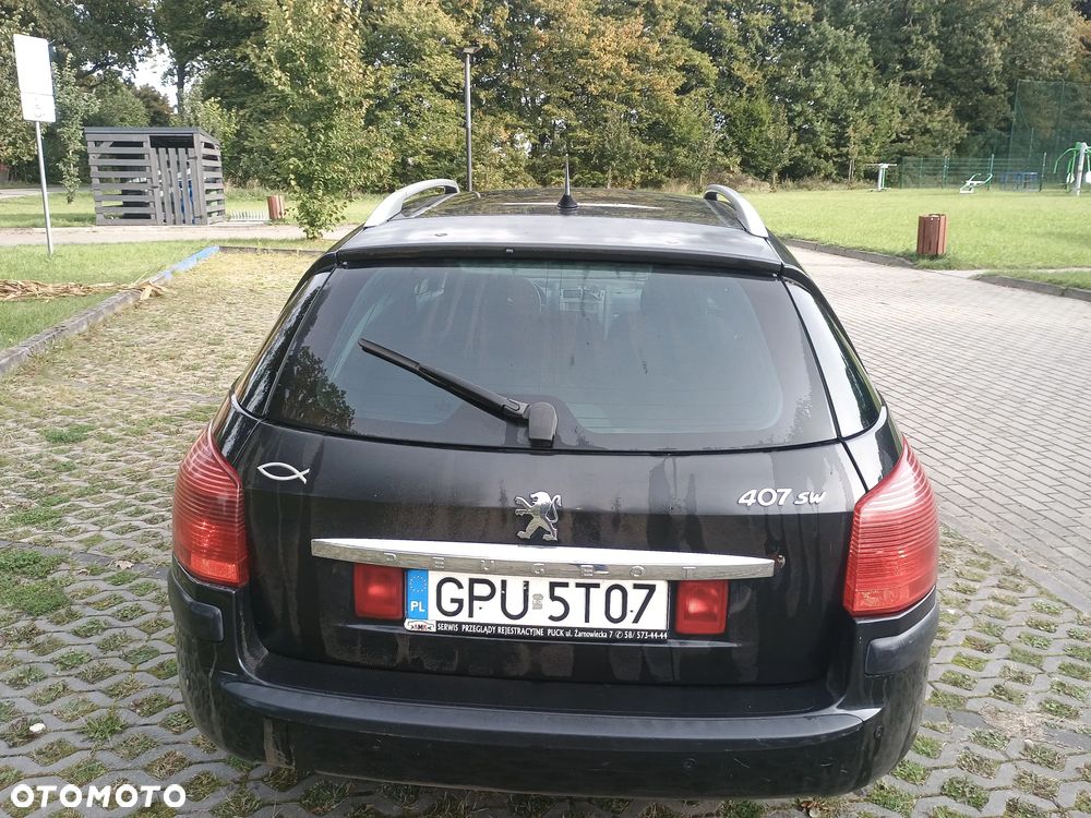 Peugeot 407 - 8