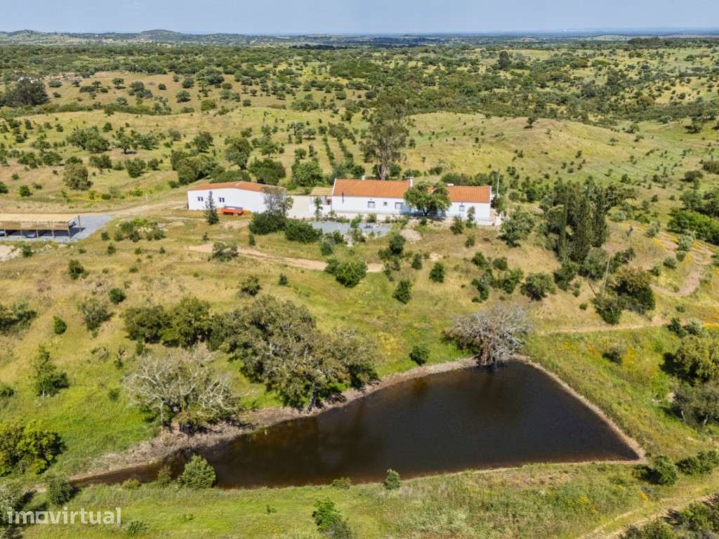 Herdade com vista fantástica para a Serra de Grândola - Grande imagem: 3/36