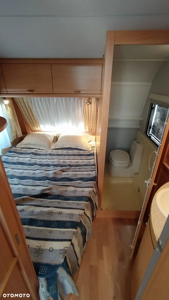 Wilk sport - 40