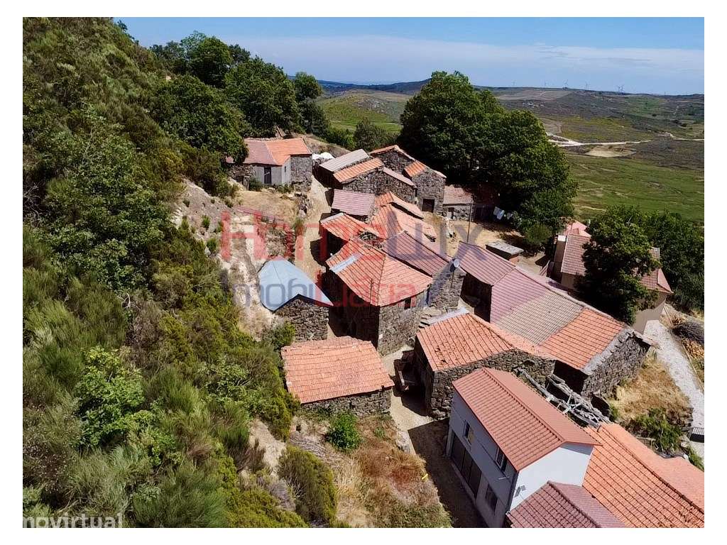 Ruína em Cotelo - Grande imagem: 5/12