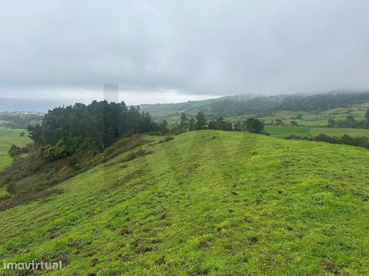 Terreno com 33.345m2 em Lomba do Pomar - Grande imagem: 3/16