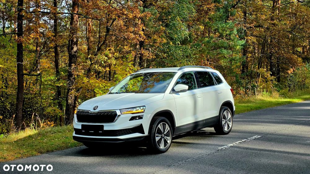 Skoda Karoq 2.0 TDI SCR 4x2 Sportline - 29