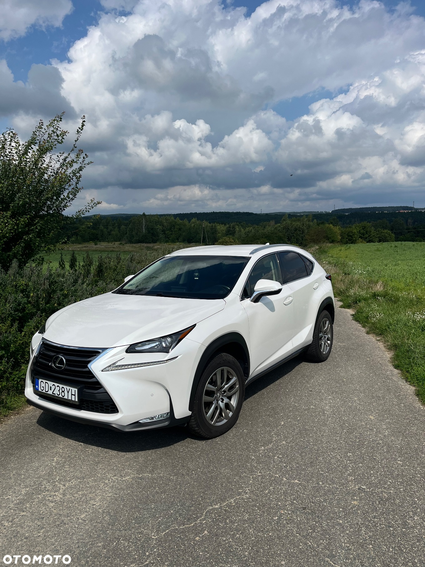 Lexus NX 200t Comfort AWD - 3