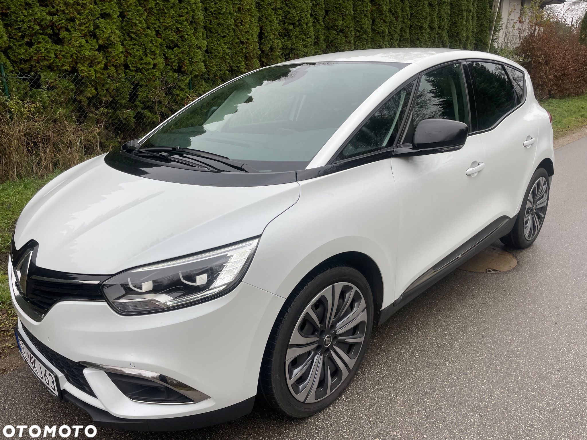 Renault Scenic - 1