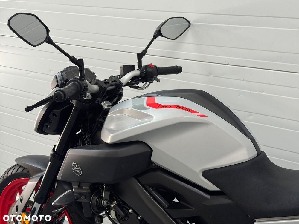 Yamaha MT - 18