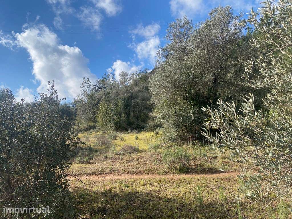 Lote de terreno rústico, com 3.130m2, Loulé, Algarve - Grande imagem: 4/22
