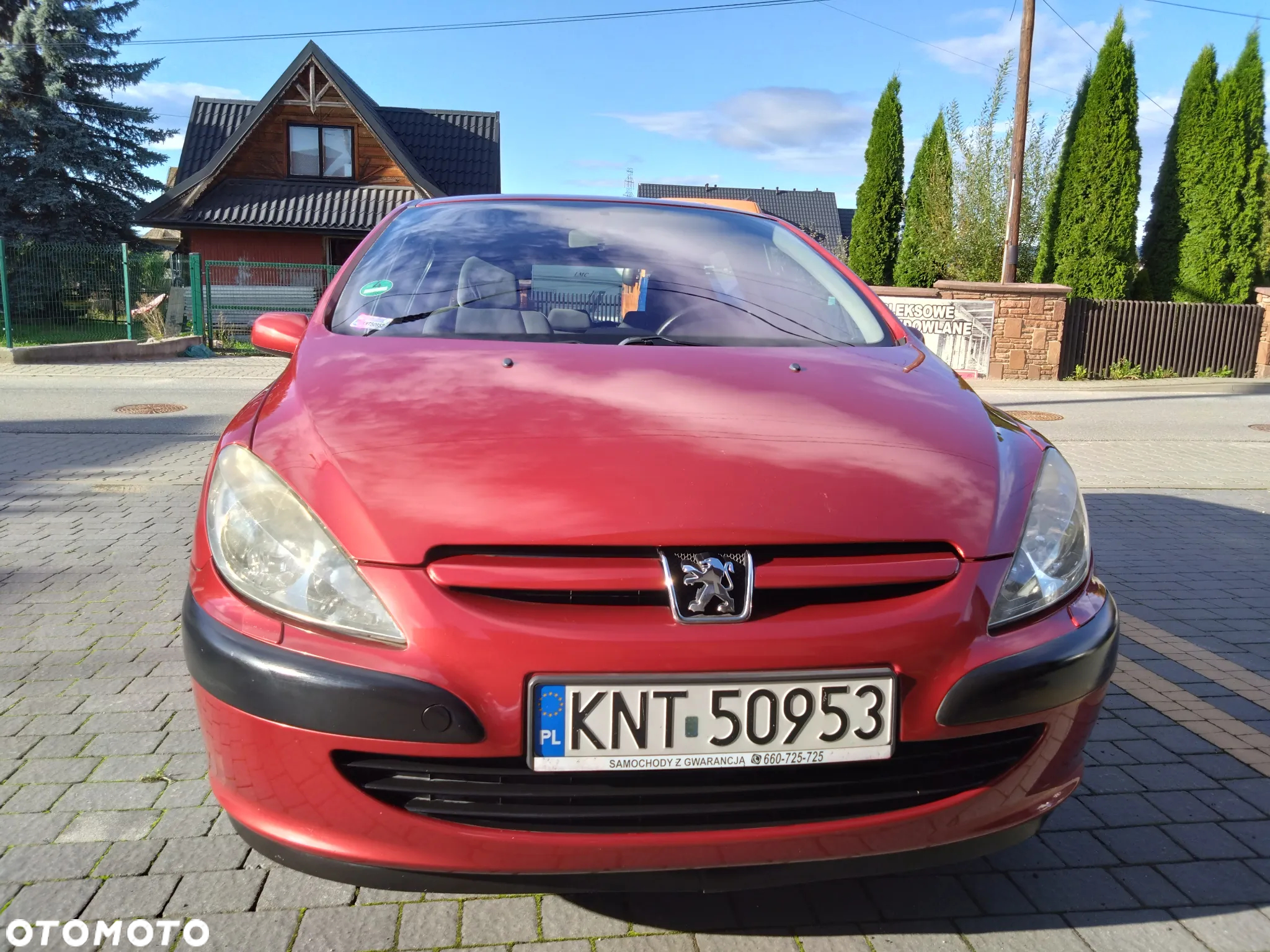 Peugeot 307 - 9