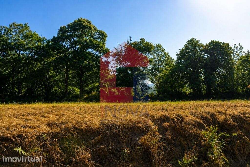 Terreno para construção, Fiscal - Grande imagem: 4/19
