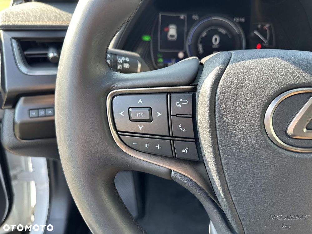 Lexus UX 250h GPF F Sport Design 2WD - 16