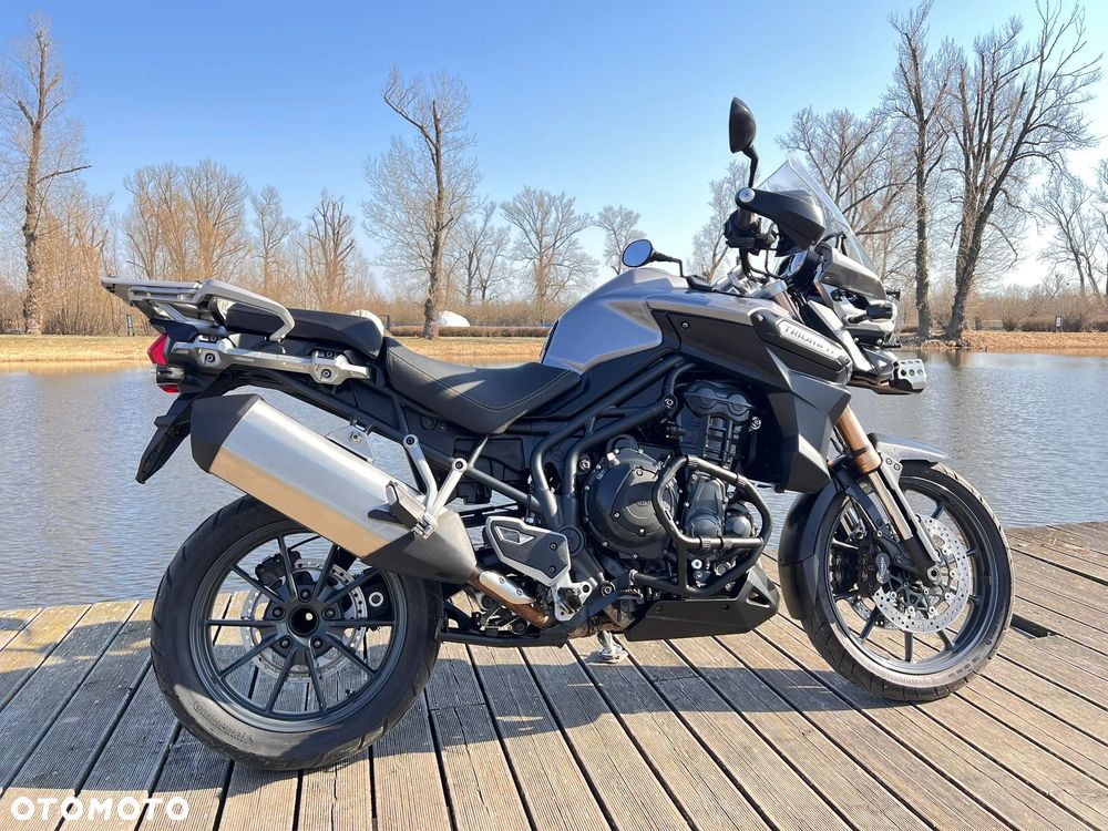 Triumph Tiger - 10
