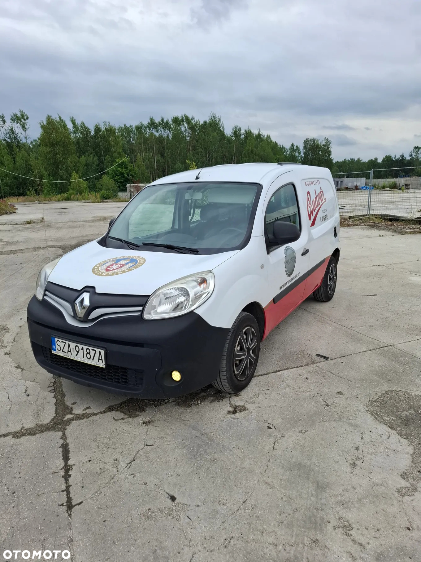 Renault Kangoo - 3
