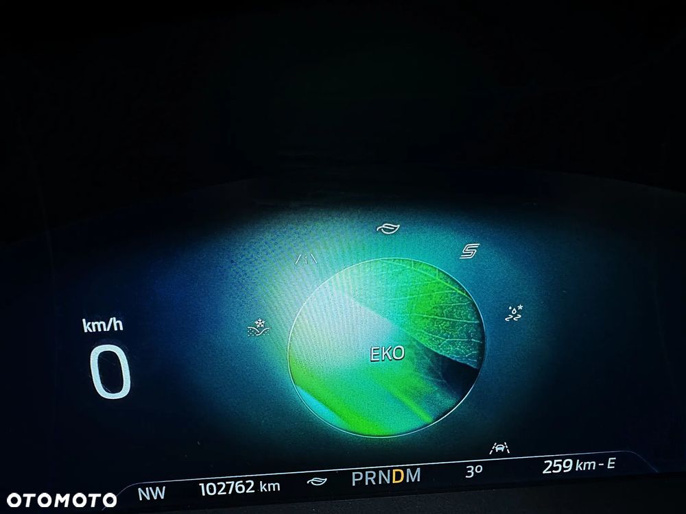 Ford Kuga 2.0 EcoBlue AWD ST-Line - 19